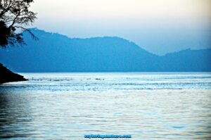 Brahmaputra River View