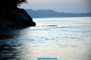 Brahmputra River View