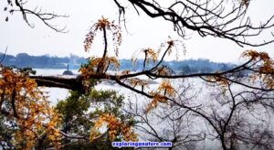 Nature view from Umandanda Island