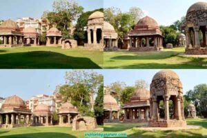 6 famous things to explore in Hauz I Alai, best visiting places in Delhi, Hauz Khas